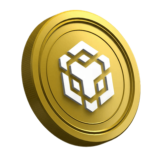 Nuovo trader consulta la guida sulla criptovaluta BNB